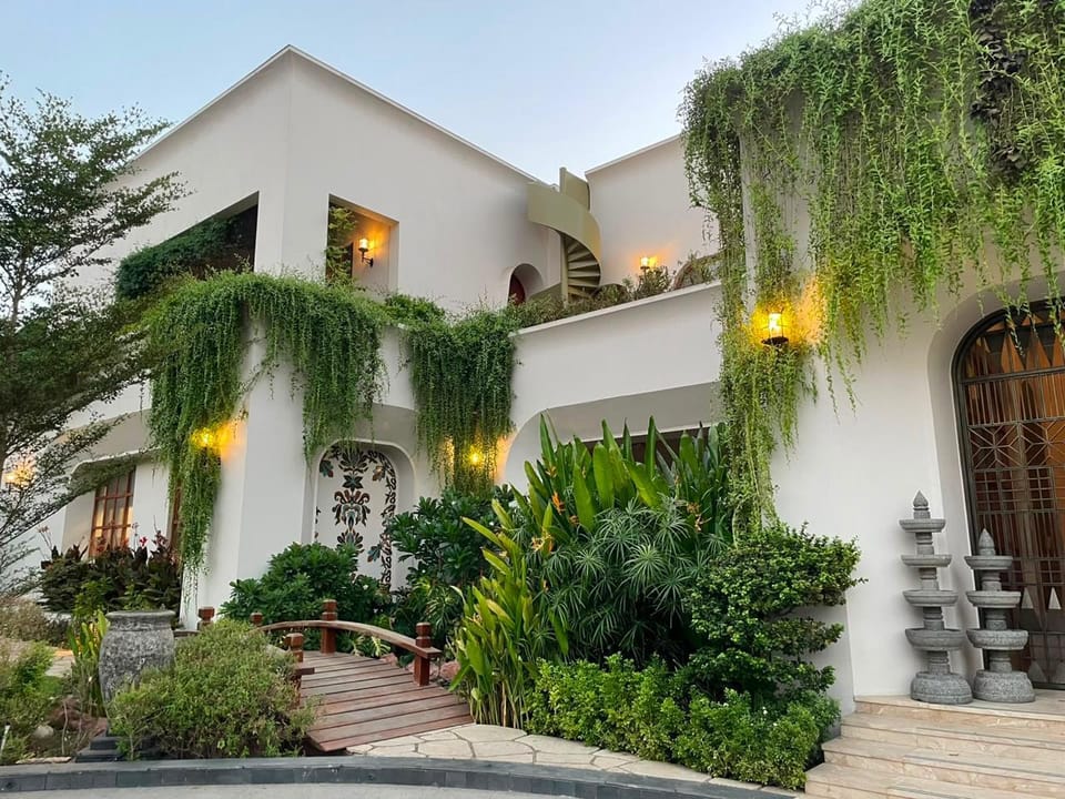 Creepers trailing over the white facade of the bungalow at Kandla