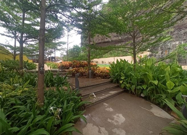 Steps rising through planting under young trees