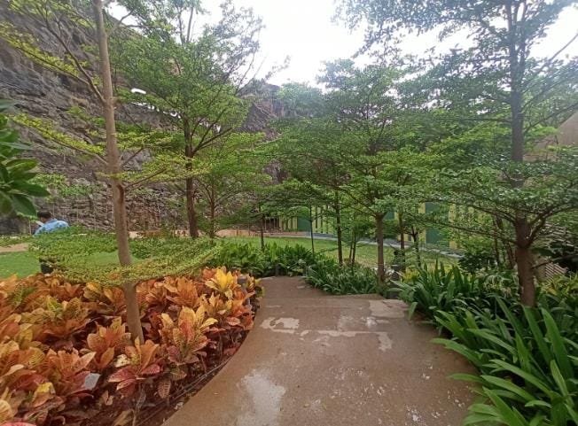 A path through orange and green foliage