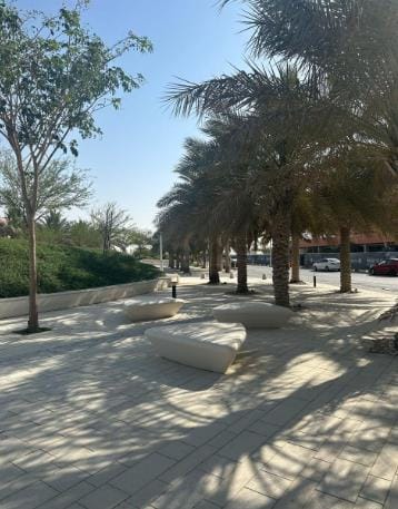 Benches in the shade of palms