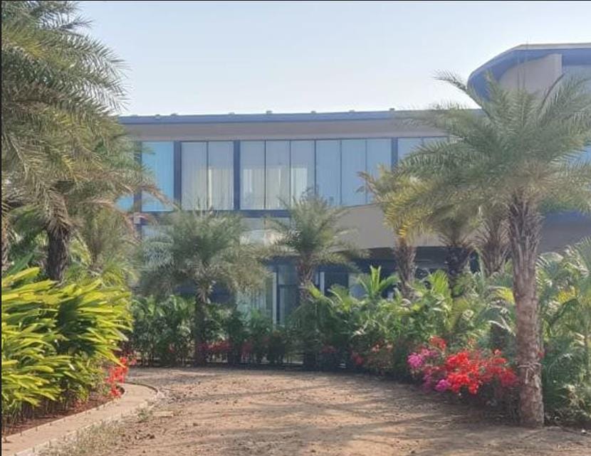 Palms and flowering shrubs in front of the house
