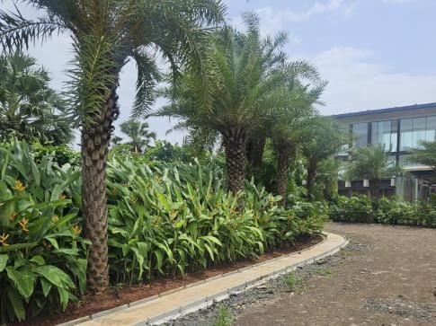 A planted border along the drive