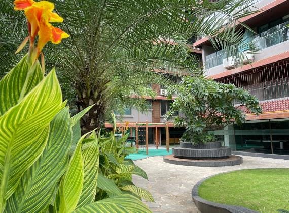 The courtyard with a circular tree seat