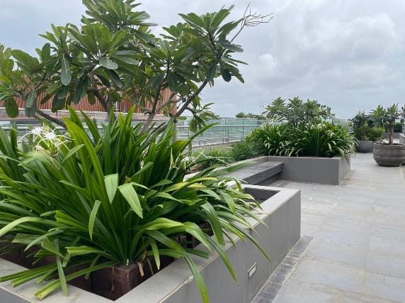 Raised planters on the upper level