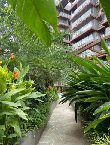 A walk between planted beds