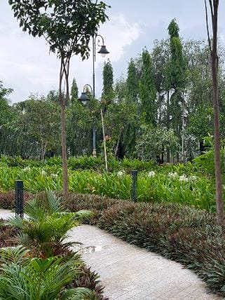 A winding path through shrubs