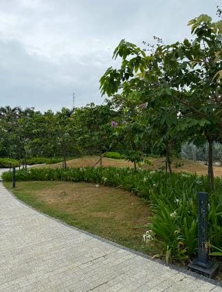 A lawn bordered by trees