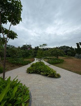 An island bed in a paved path