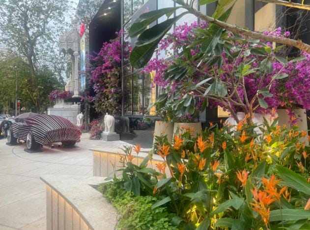 Planting along the plaza frontage
