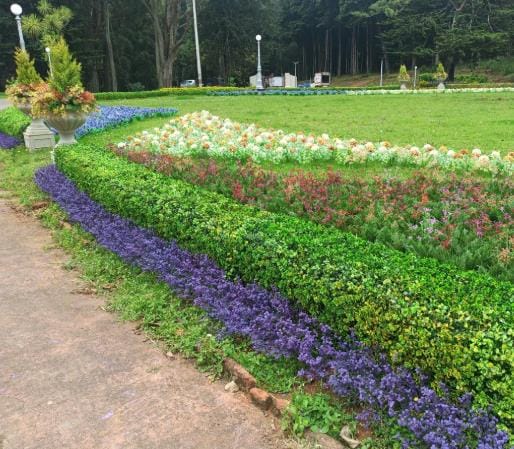 Flower borders planted in bands of colour