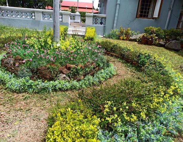 A circular hedge and flower bed