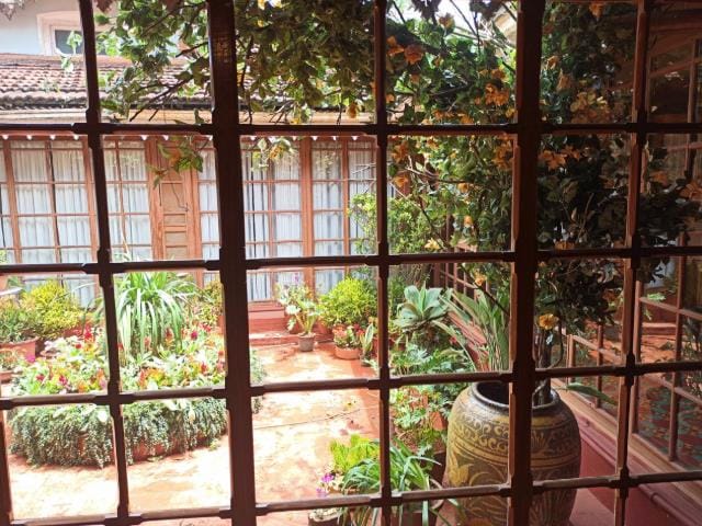 A courtyard garden seen through a window