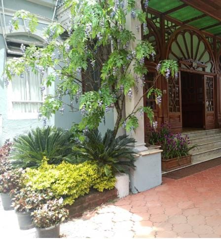 Potted plants at a doorway