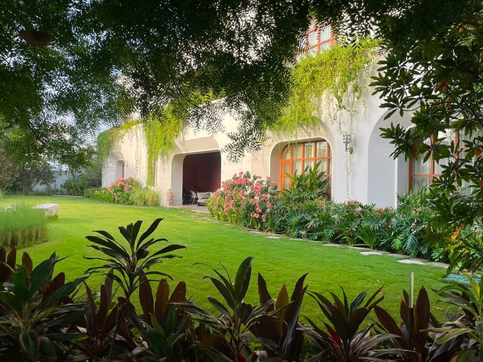 The lawn in front of the house, framed by trees