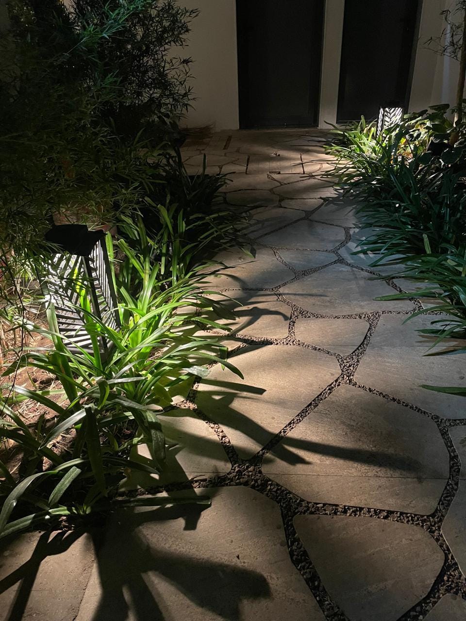 Dappled shade on a stone path